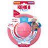 Picture of KONG Puppy Flyer x 1