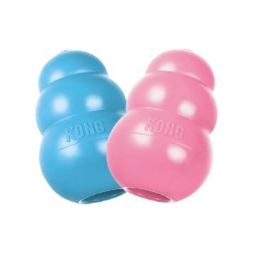 Picture of KONG Puppy Medium x 1