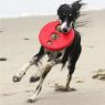 Picture of ROGZ RFO Flying Object Red 6.5" x 1