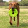 Picture of ROGZ RFO Flying Object Blue 9" x 1