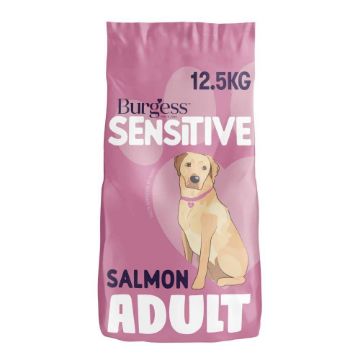 Picture of Burgess Sensitive Adult Dog Salmon 12.5kg