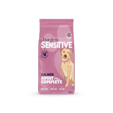 Picture of Burgess Sensitive Adult Dog Salmon 2kg 