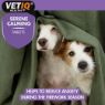 Picture of VETIQ Serene Calming Tablets - for Cats & Dogs 30 Tab x 1