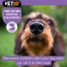 Picture of VETIQ Serene Calming Ointment 50g x 1