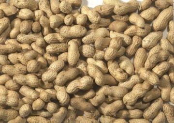 Picture of J&J Monkey Nuts in Shells 10kg