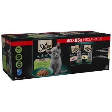 Picture of Sheba Pouch KITTEN Select Slices Mixed in Gravy MEGA PACK 85g 40pk 