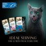 Picture of Sheba Pouch Fresh Cuisine Tokyo Tuna, Salmon & Whitefish Gravy 50g 6-pack x 8