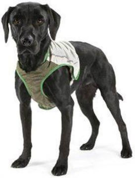 Picture of Scruffs Insect Shield Dog Vest XXL x 1