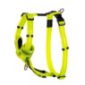 Picture of ROGZ Control Harness Dayglo Large 45-75cm x 1