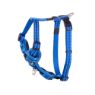 Picture of ROGZ Control Harness Blue Medium x 1