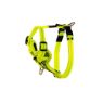 Picture of ROGZ Control Harness Dayglo Small 23-37cm x 1