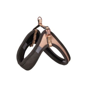 Picture of ROGZ URBAN Adj Fast-Fit Dog Harness Gold Rush Small