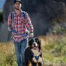 Picture of ROGZ Explore Harness XL Blue x 1