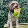 Picture of Soopa Healthy Bites Kale & Apple 50g x 1