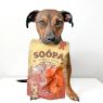 Picture of Soopa Sweet Potato Dog Treats 100g x 1