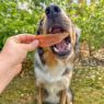 Picture of Soopa Sweet Potato Dog Treats 100g x 1