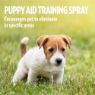 Picture of Simple Solution Puppy Aid Training Spray 500ml x 1
