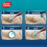 Picture of Simple Solution Stain + Odour Remover for Dogs 1000ml x 1