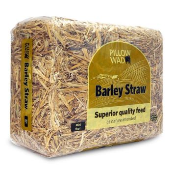 Picture of Pillow Wad Barley Straw Mini 1kg x 6