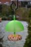 Picture of Supa Robin & Small Bird Feeder x 1