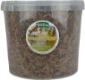 Picture of Supa Dried Mealworms 5 Litre Bucket x 1