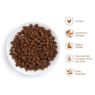 Picture of Thrive Cat Premium Plus Dry Chicken 1.5kg x 1