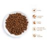 Picture of Thrive Cat Premium Plus Dry Chicken & Turkey 1.5kg x 1