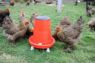 Picture of Supa Tissington Feeder (12kg Capacity) x 1