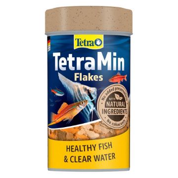 Picture of Tetramin (Tropical) Flakes 20g / 100ml x 1