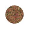 Picture of Tetramin (Tropical) Flakes 20g / 100ml x 1