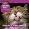Picture of VETIQ Healthy Bites Nutri-Booster for Kittens 65g x 8
