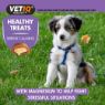 Picture of VETIQ Healthy Treats Serene Calming for Dogs & Puppies 50g x 6