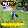 Picture of VETIQ Green-UM Lawn Burn Solution 175 Tab x 1