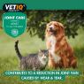 Picture of VETIQ Joint Care Adult Tablets 45tab x 1