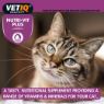 Picture of VETIQ Nutri-Vit Plus Paste Cat & Kitten 70g x 1