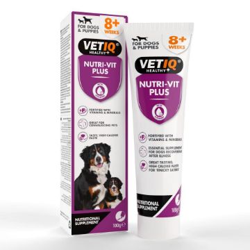 Picture of VETIQ Nutri-Vit Plus Paste Dog & Puppy 100g x 1