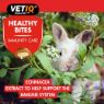 Picture of VETIQ Healthy Bites Small Animal Immunity-Care 30g x 8