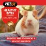Picture of VETIQ Healthy Bites Small Animal Immunity-Care 30g x 8