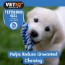 Picture of VETIQ Teething Gel for Dogs & Puppies 50g x 1
