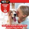 Picture of VETIQ Urinary Care Paste 100g x 1
