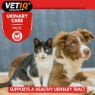 Picture of VETIQ Urinary Care Paste 100g x 1