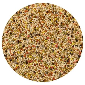 Picture of Vitakraft Budgie Fruit Cocktail 200g x 12