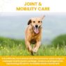 Picture of Vetzyme Flexible Joint Tablets 90 tab x 1