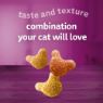 Picture of Whiskas Crunch! Cat Treat 100g x 6