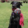 Picture of KONG Wubba Weaves Large x 1
