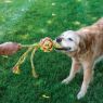 Picture of KONG Wubba Weaves with Rope Large x 1