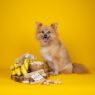 Picture of Yakers Dog Chew PEANUT BUTTER & BANANA Medium x 20
