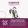 Picture of YuMOVE Digestive Care Plus+ 6-Sachet x 1