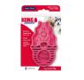Picture of KONG Zoom Groom for Dogs Pink/Raspberry Standard x 1