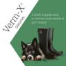 Picture of Verm-X Crunchies Treats for Dogs 100g x 1